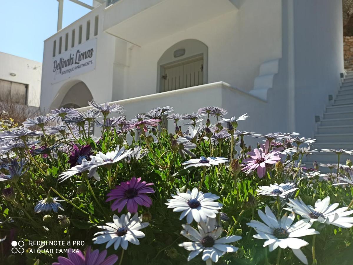 Villa Delfinaki Lionas 외부 사진