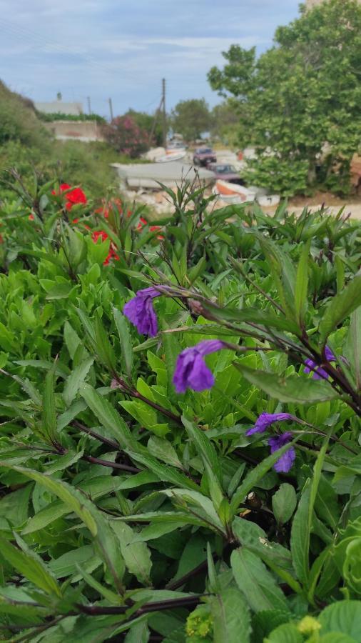 Villa Delfinaki Lionas 외부 사진